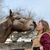 unitedwestandhorsegirl (@clarehorsegirl) Twitter profile photo unitedwestandhorsegirl (@clarehorsegirl) Twitter profile photo