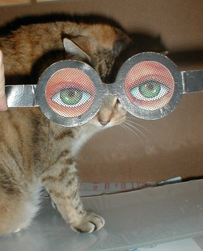 little cat in a big world
Please don’t follow me, I spook easy.