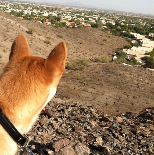 jjbrais's profile picture. 