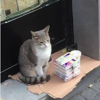 yeşim (@olabilirbazen) 's Twitter Profile