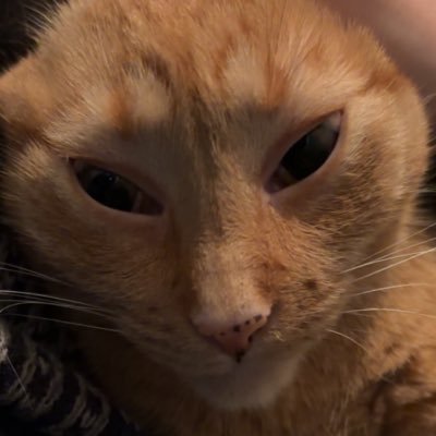 bigsexy_18's profile picture. 