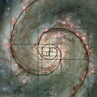 + ( I & I ) + (@ismandskism) 's Twitter Profile Photo + ( I & I ) + (@ismandskism) 's Twitter Profile Photo