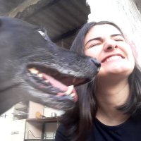 menegattinha (@lamenegatti) 's Twitter Profile Photo menegattinha (@lamenegatti) 's Twitter Profile Photo