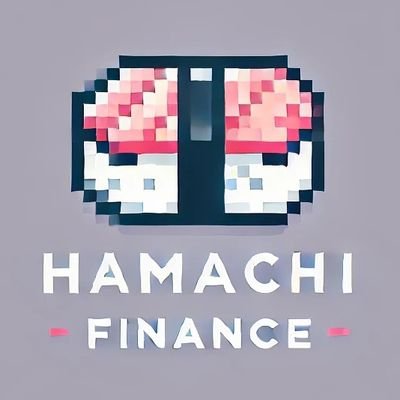 Hamachi Finance CTO Profile
