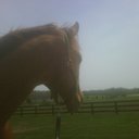 Layne Jensen - @LayneJensen - Twitter