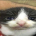 jabier (@guat0nbalasera) Twitter profile photo jabier (@guat0nbalasera) Twitter profile photo