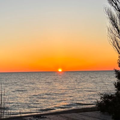 steck503's profile picture. 