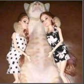 zoox_s's profile picture. 