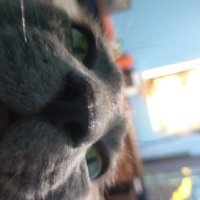 Zaith (@zaithsm) 's Twitter Profile