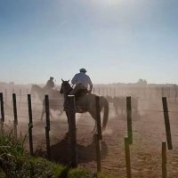 Álvaro Rocha Perna #YoNoLosVoté (@rochaperna) 's Twitter Profile