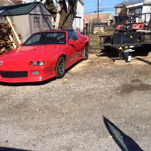 Bgrifs's profile picture. 