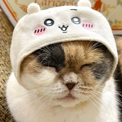 Rikaさんのプロフィール画像