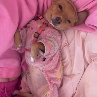 QuinlanDelia's profile picture. 