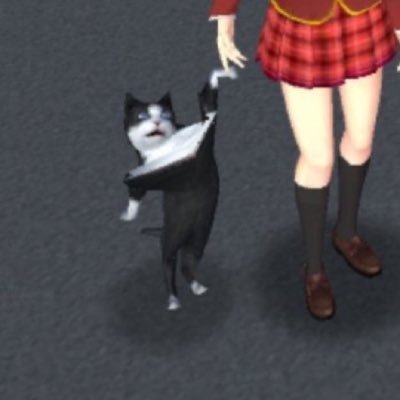 猫のお告げがあらんことをさんのプロフィール画像