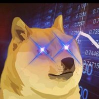 THE DOGE DUDE 🪙 (@ssmcdan) 's Twitter Profile