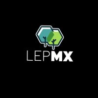 Laboratorio de Espacio Público en México® (@_lepmx) 's Twitter Profile Photo Laboratorio de Espacio Público en México® (@_lepmx) 's Twitter Profile Photo