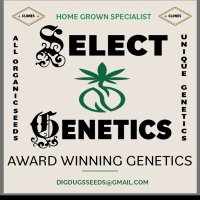 selectgenetics (@selectgenetics) 's Twitter Profile