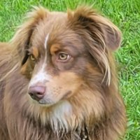 Seth Stohs (@sethtweets) 's Twitter Profile