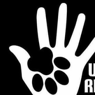 maris8582's profile picture. 🐾🐾