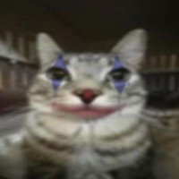 . (@marcheese_) 's Twitter Profile