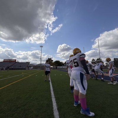 TPNEVERENDS's profile picture. @lions