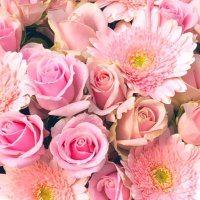 ハチポチ2 箱崎星梨花フラスタ (@act4frst) 's Twitter Profile Photo
