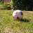 Wozza76's profile image