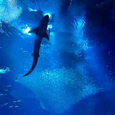 Y9JNzo30z3CymAx's profile picture. 