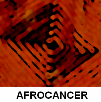 Afrocancer est un réseau international de lutte contre le cancer