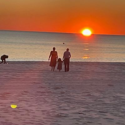 amm91981's profile picture. 