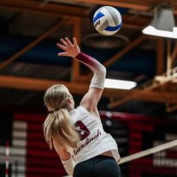 Hilary Haaven (@hilary_haaven) 's Twitter Profile