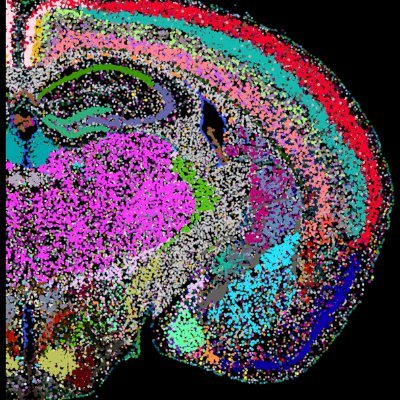 ZhuangLab Profile