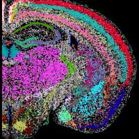 ZhuangLab (@zhuanglab) 's Twitter Profile
