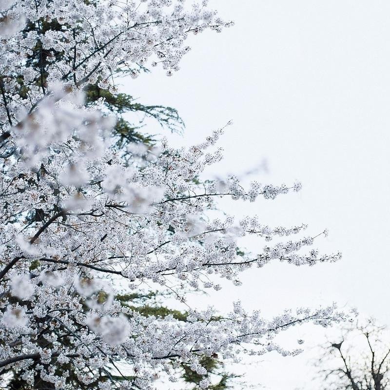 RosalindSt5967's profile picture. 不是每一種痛，都要訴說。