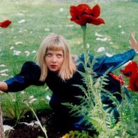 aurora archive (@aurorarchive) 's Twitter Profile