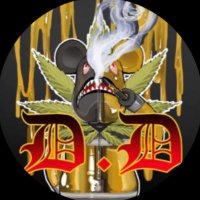 てぃー (@shimadahatake) 's Twitter Profile