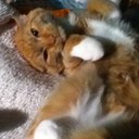 Sunny James - @Sunny_James_ - Twitter