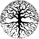 Jonathan Wickham - @skyw33 - Twitter