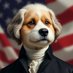 DogusJefferson (@dogusjefferson) Twitter profile photo DogusJefferson (@dogusjefferson) Twitter profile photo