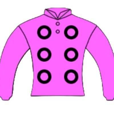 JRA/笠松所属の競走馬 アサクサ X公式アカウント🐴🩷馬主:櫻井素子 出走馬情報など更新していきます✍🏻✨️