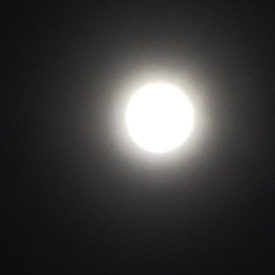 reiki_moon's profile picture. #unrealengine #blender #houdini #python #splatoon