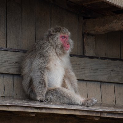 austin_smitty_'s profile picture. lurker