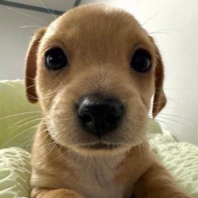 f1sdayoff's profile picture. she/her; interested in baseball, f1, film, etc.