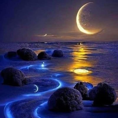 _godhandolivia's profile picture. 