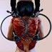 女权时代♀Love Femdom (@lovefemdom99) Twitter profile photo 女权时代♀Love Femdom (@lovefemdom99) Twitter profile photo