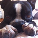 Susana Smith - @susanasmcd - Twitter