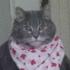 maldanrv's profile picture. Software developer