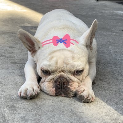 Cassie_Murat's profile picture. All kinds of diamond tools are in stock to help your projects, welcome to take them!!
Update tools every workday^^
+86 17359267875
sales17@stonediamondtool.com