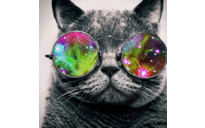 Barb Jenkins - @BarbBig - Twitter