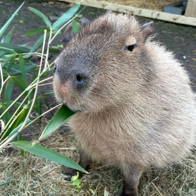 Type qui travaille dans le jeu vidéo depuis longtemps (trop). Enervé dès le matin. N'aime rien, ni personne. Anti-tout et surtout Twitter.